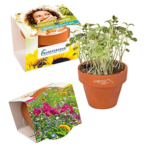 Mini logo-pot complete paper band with seeds - Summerflowers mix