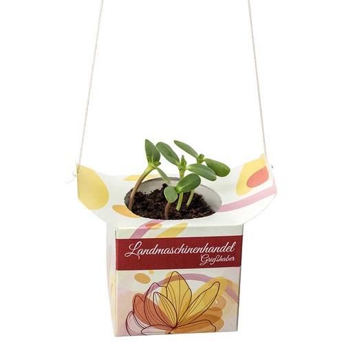 Hanging pot - Sunflowers Hanging pot - Sunflowers