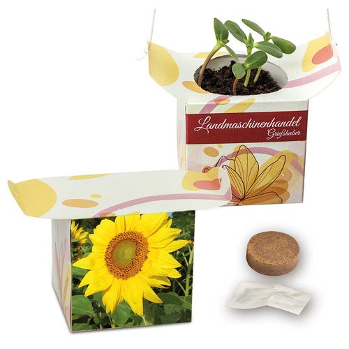 Hanging pot - Sunflowers