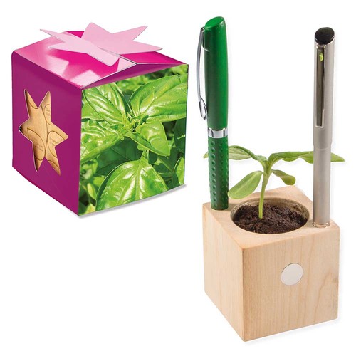 Plant-wood office star-box with seeds - Basil