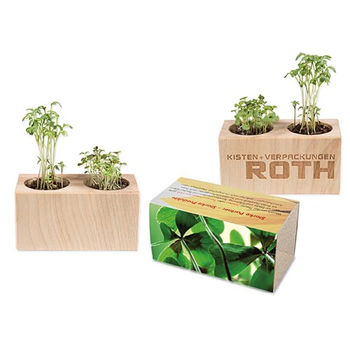 Plant-wood set of 2 with seeds - Four-leaf clover