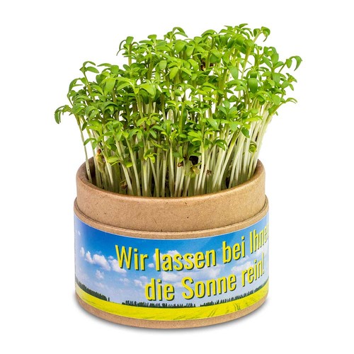 Plant-cup with seeds - Cress Plant-cup with seeds - Cress