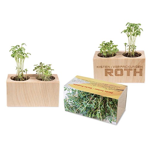 Plant-wood set of 2 with seeds - Thyme