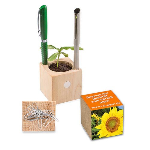 Plant-wood office with seeds - Sunflowers