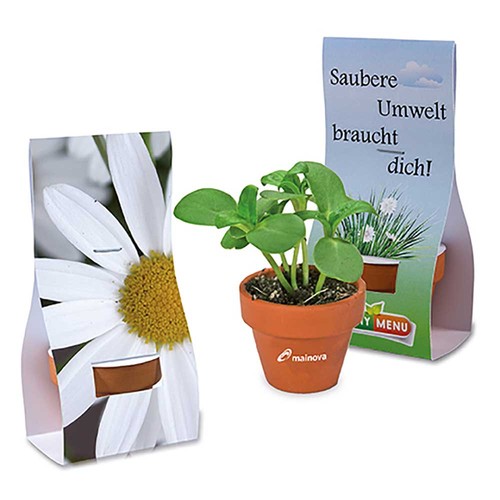 Mini logo-pot handover-packaging with seeds - Marguerite