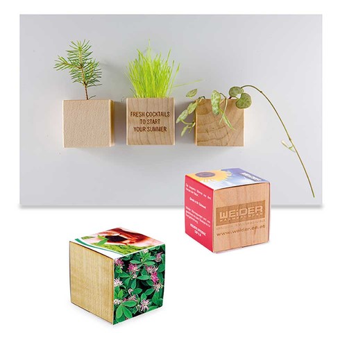 Plant-wood magnet with seeds - Persian clover (seeds)