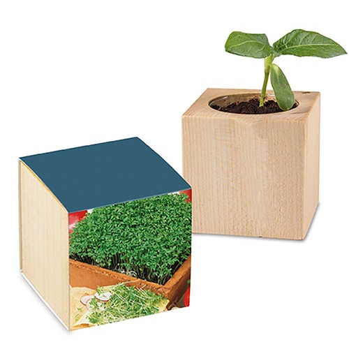 Plant-wood with seeds - Cress