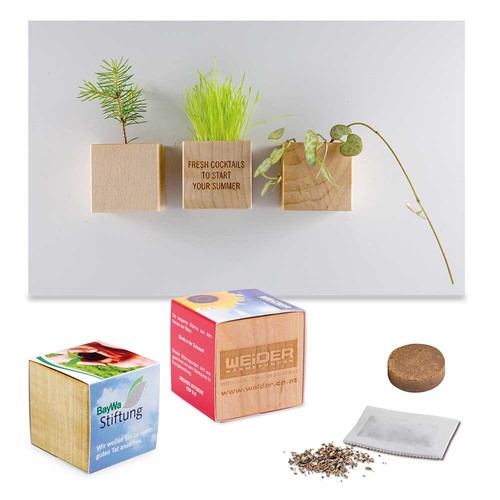 Plant-wood magnet with seeds - Basil Plant-wood magnet with seeds - Basil
