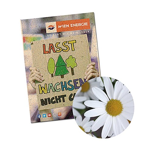 Seed-bag mini - Grass paper - Marguerite