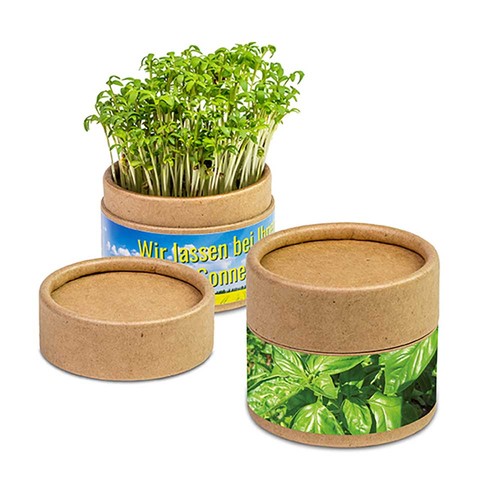 Plant-cup with seeds - Basil