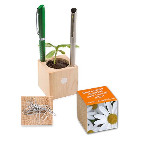 Plant-wood office with seeds - Marguerite