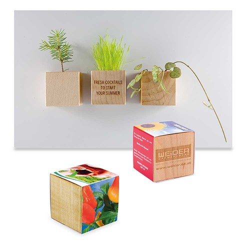 Plant-wood magnet with seeds - Chili