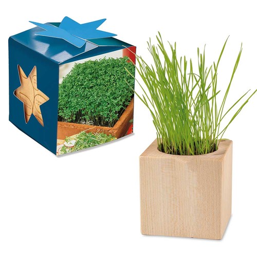 Plant-wood maxi star-box with seeds - Cress