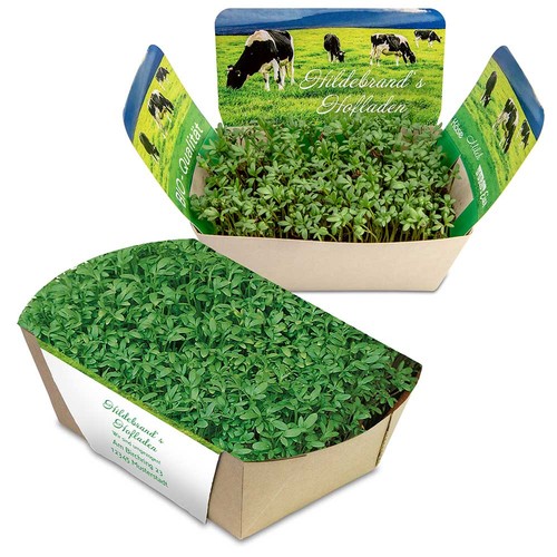 Plantodrom with seeds - Cress