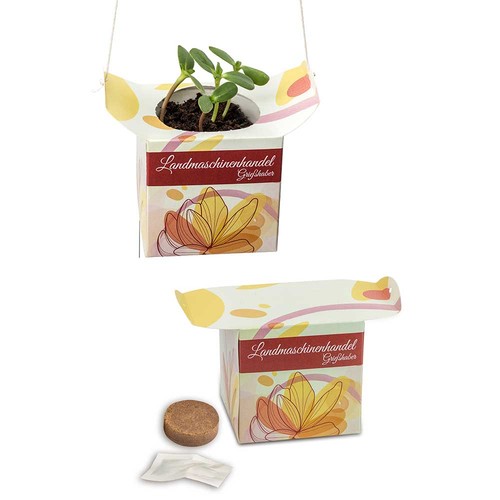 Hanging pot - Herb-mixture Hanging pot - Herb-mixture