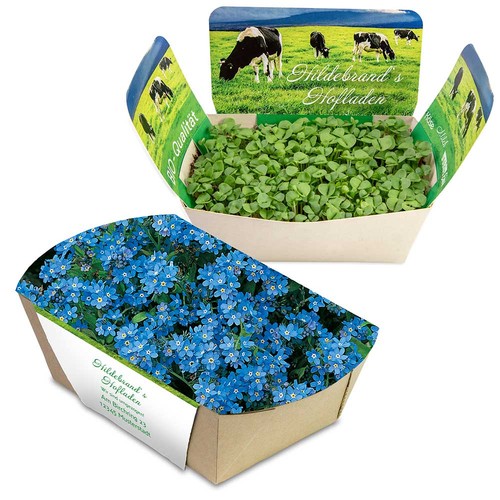 Plantodrom with seeds - Forget-me-not