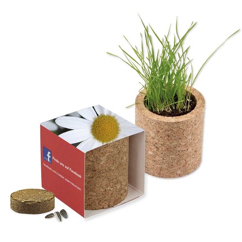 Plant-cork round with seeds - Marguerite