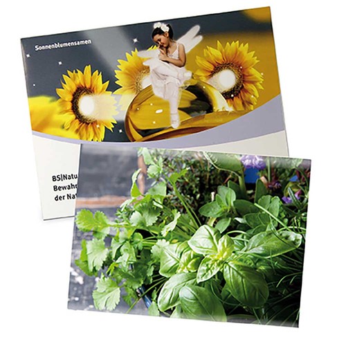 Seed-bag large - Standard paper - Herb-mixture