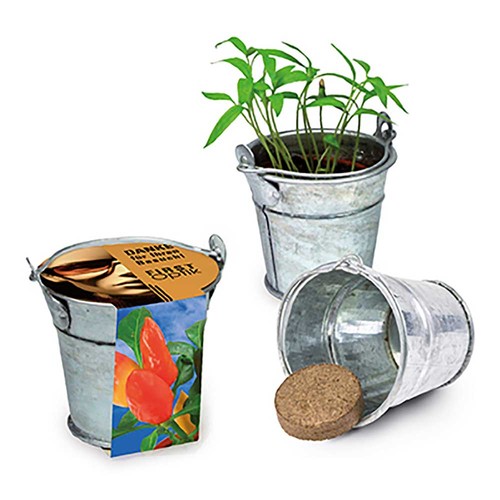 Mini plant-bucket with seeds - Chili