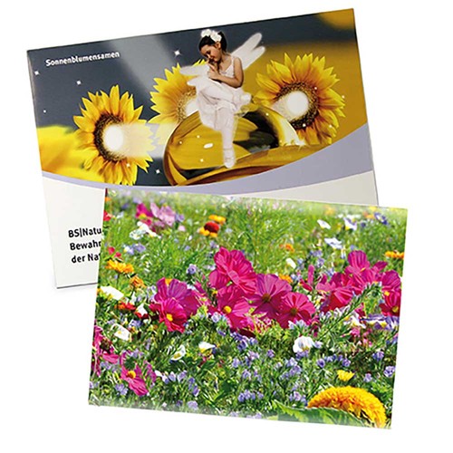 Seed-bag large - Standard paper - Summerflowers mix