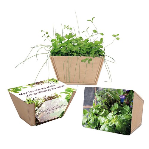 Mini-bed with seeds - Herb-mixture