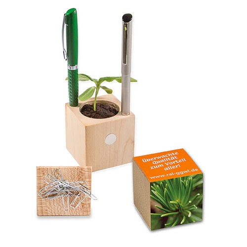 Plant-wood office with seeds - Spruce