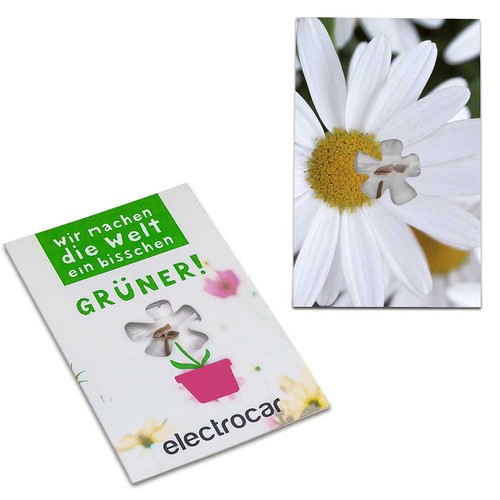 Seed-card-mini flower - Marguerite