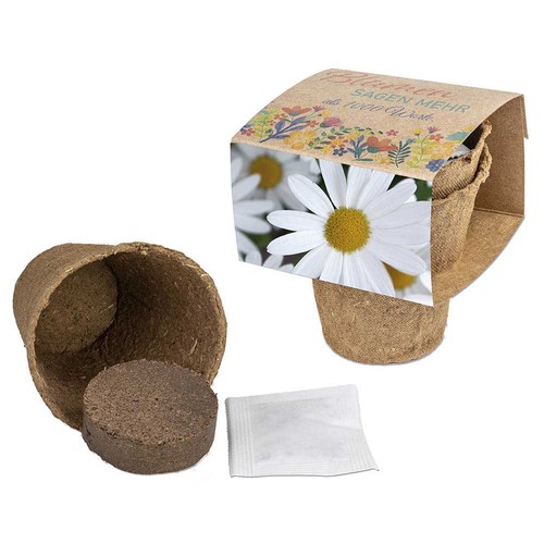 Cultivation set with seeds - Marguerite