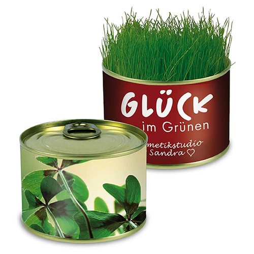 Nature-reserve with seeds - Four-leaf clover