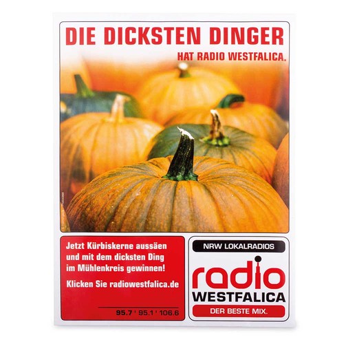 Seed-bag large - Standard paper - Chilli Seed-bag large - Standard paper - Chilli