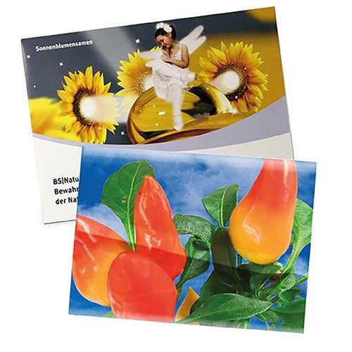 Seed-bag large - Standard paper - Chilli