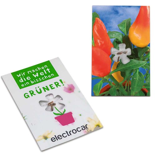 Seed-card-mini flower - Chilli