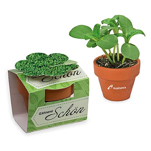 Mini plant-pot flower with seeds - Cress