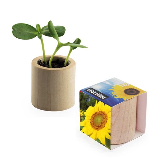 Plant-wood round with seeds - Sunflowers