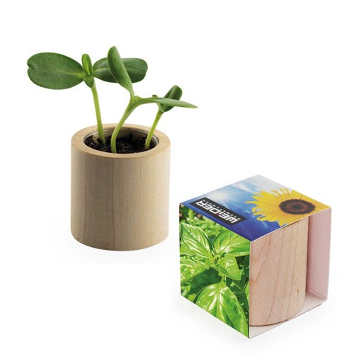 Plant-wood round with seeds - Basil