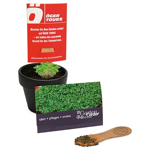 Plant-stick with seeds - Cress