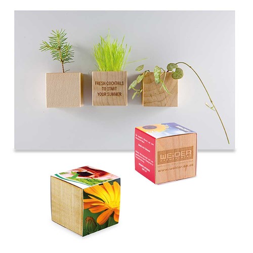 Plant-wood magnet with seeds - Marigold