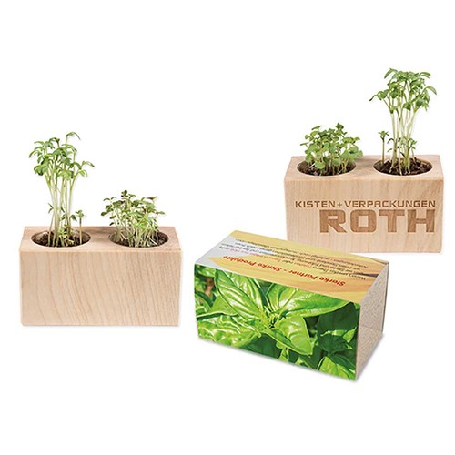 Plant-wood set of 2 with seeds - Basil