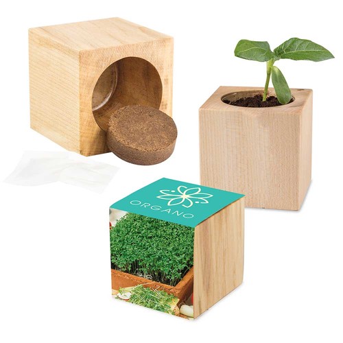 Plant-wood Maxi with seeds - Cress