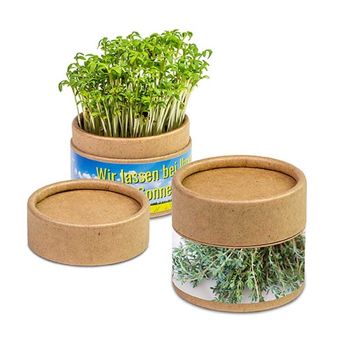 Plant-cup with seeds - Thyme