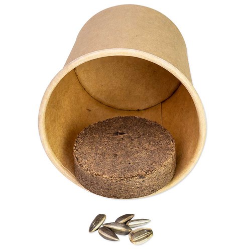 Plant-cube 2.0 with seeds - Christmas - Chilli Plant-cube 2.0 with seeds - Christmas - Chilli