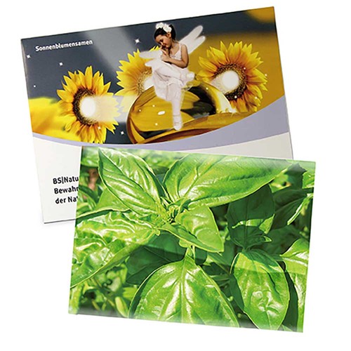 Seed-bag large - Standard paper - Basil