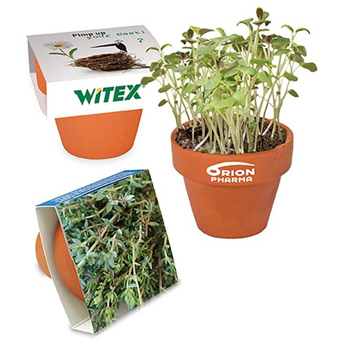 Mini logo-pot paper band with seeds - Thyme