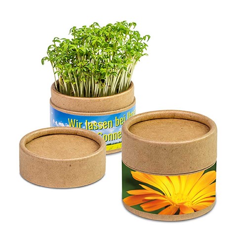 Plant-cup with seeds - Marigold