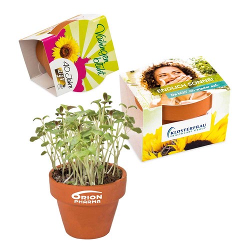 Mini logo-pot complete paper band with seeds - Forget-me-not Mini logo-pot complete paper band with seeds - Forget-me-not