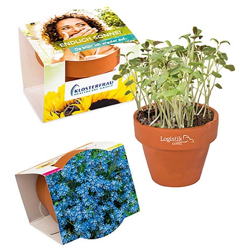 Mini logo-pot complete paper band with seeds - Forget-me-not