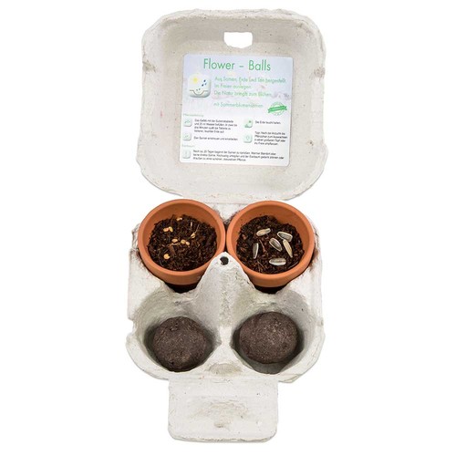 Boxed pleasure - Green-Mix - sunflower Boxed pleasure - Green-Mix - sunflower