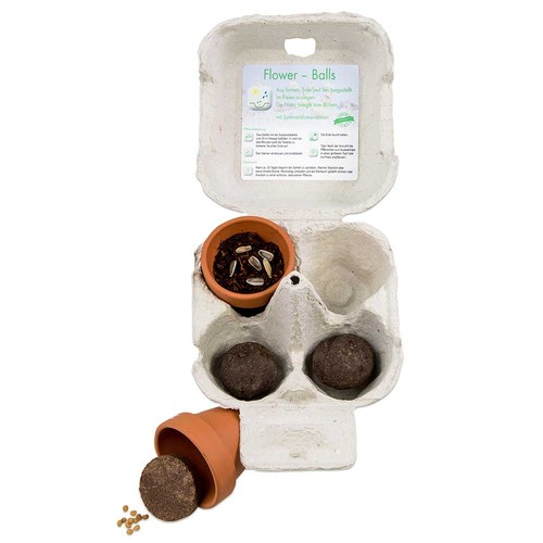 Boxed pleasure - Green-Mix - sunflower Boxed pleasure - Green-Mix - sunflower