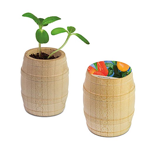 Plant-barrel with seeds - Chili