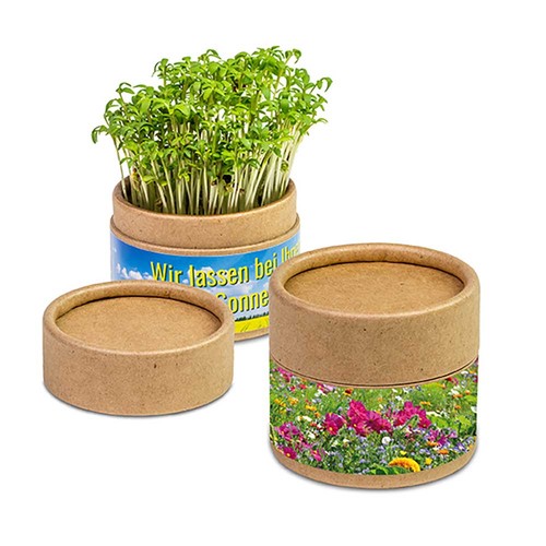 Plant-cup with seeds - Summerflowers mix